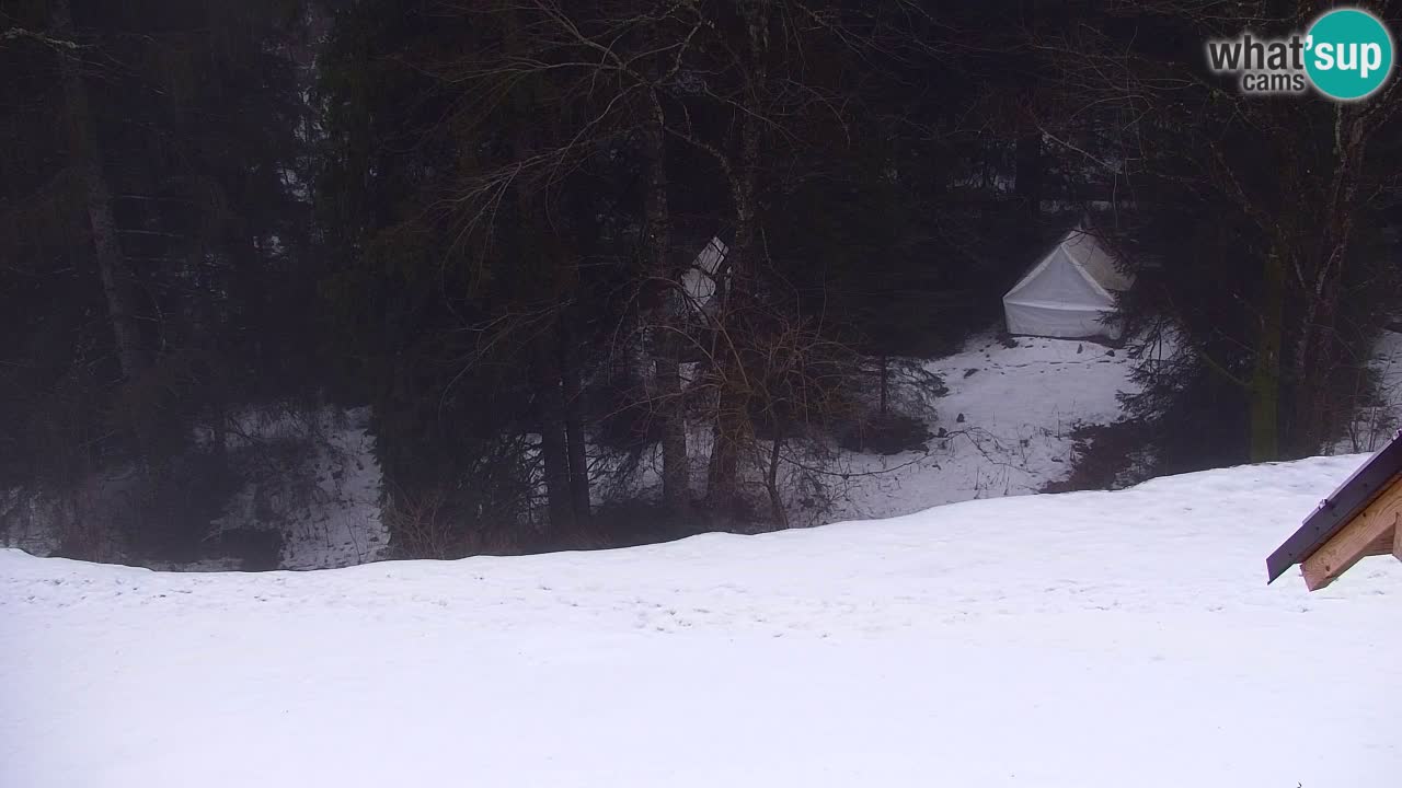 Webcam Lukanja – Water Village | Pohorje Houses