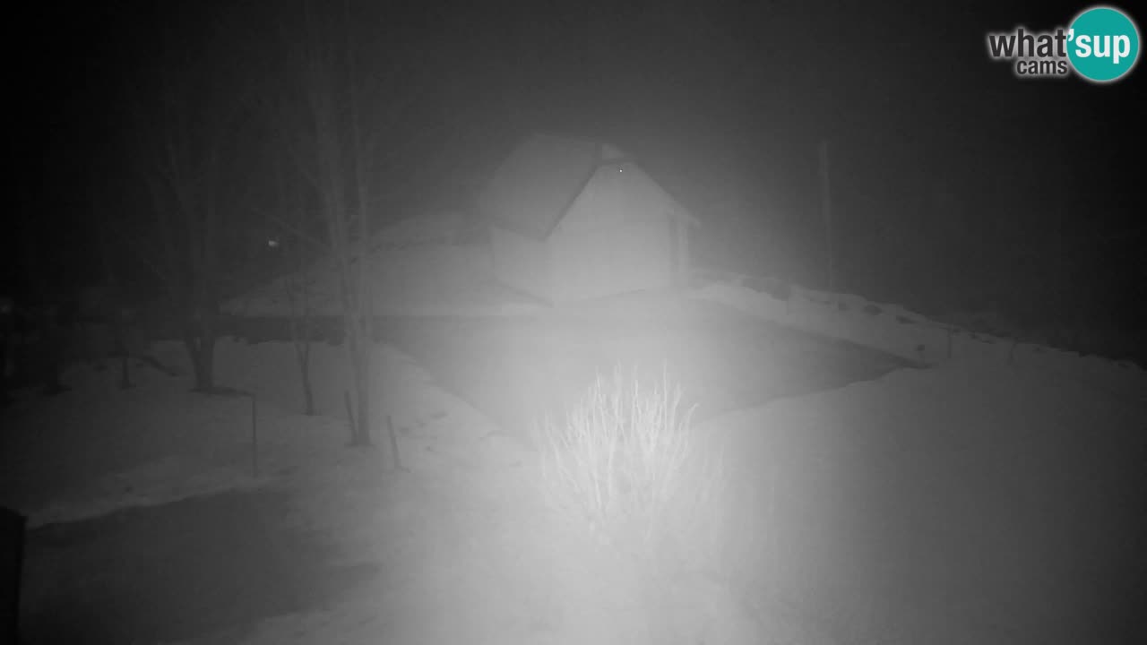 Webcam Lukanja – Water Village | Pohorje Houses