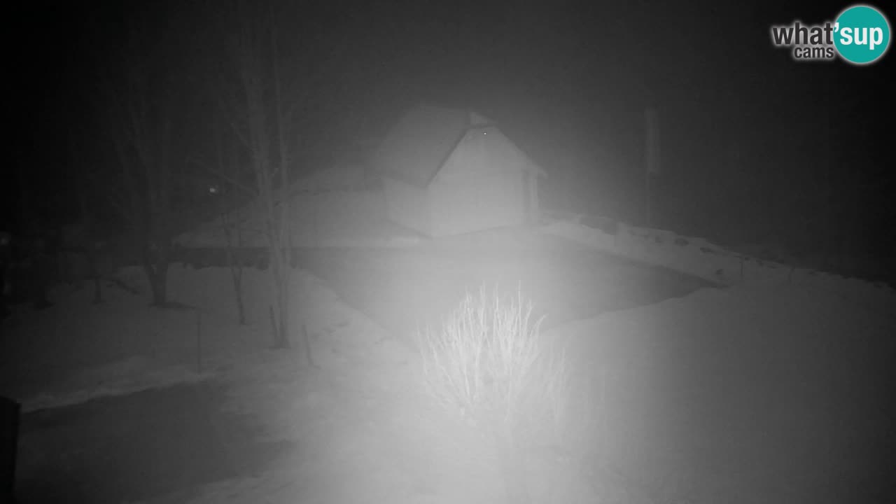 Webcam Lukanja – Water Village | Pohorje Houses