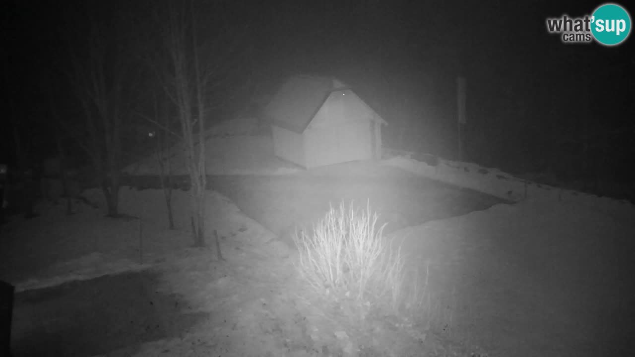 Webcam Lukanja – Water Village | Pohorje Houses