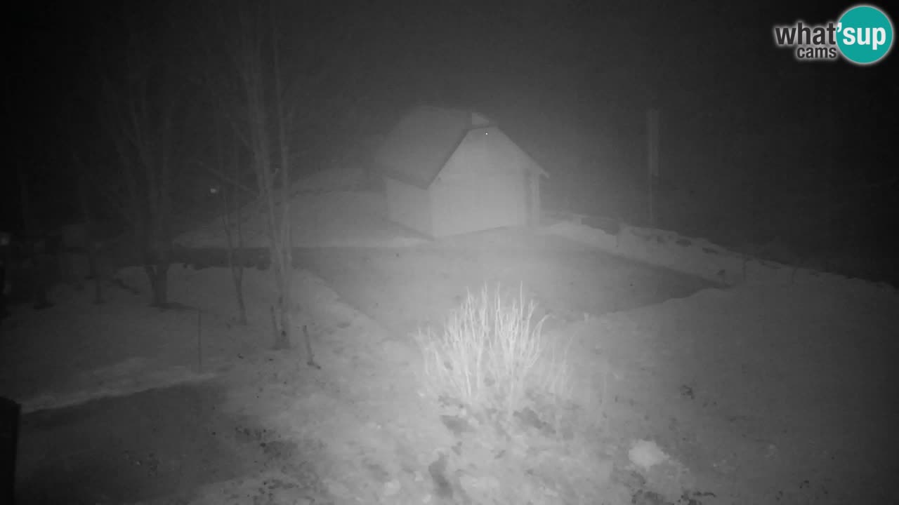 Webcam Lukanja – Water Village | Pohorje Houses