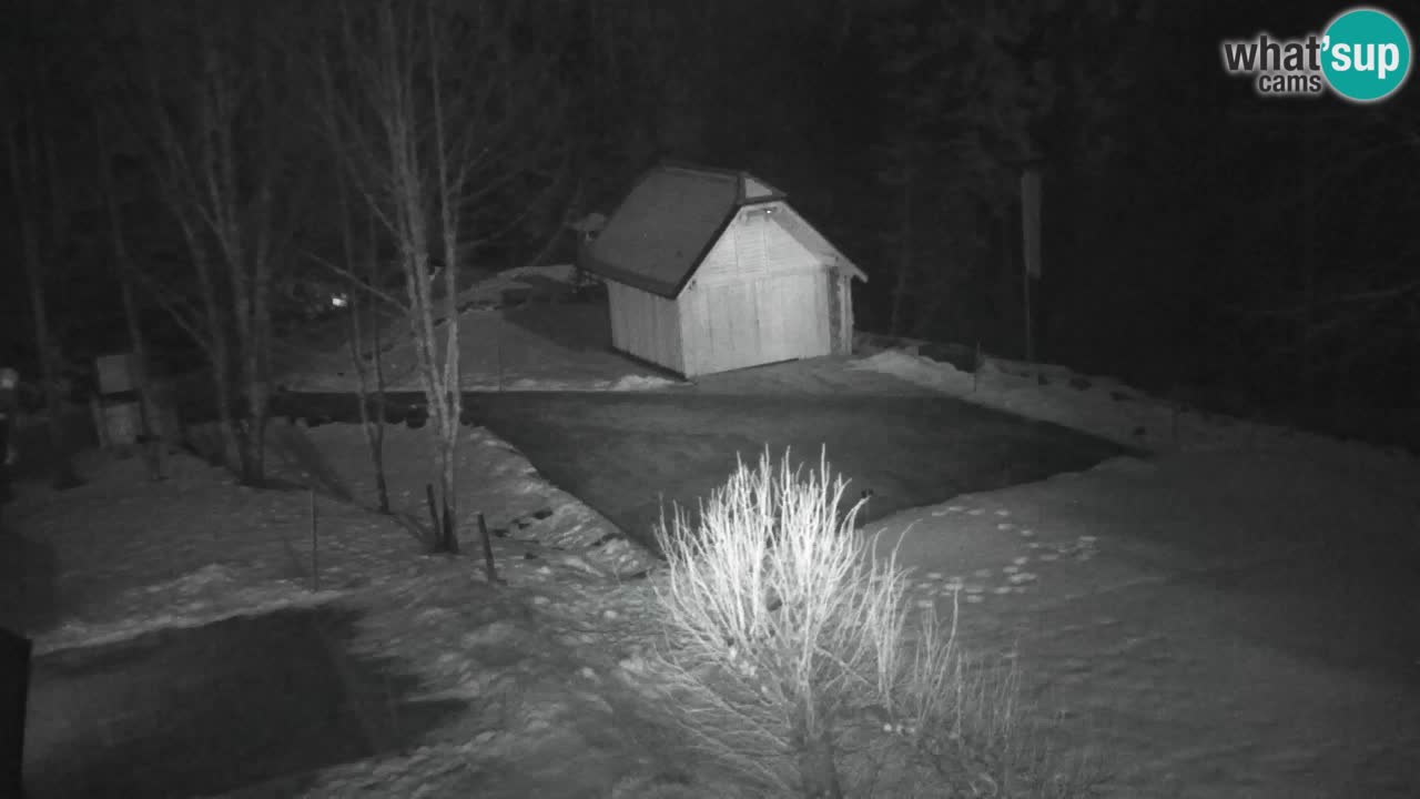 Webcam Lukanja – Water Village | Pohorje Houses