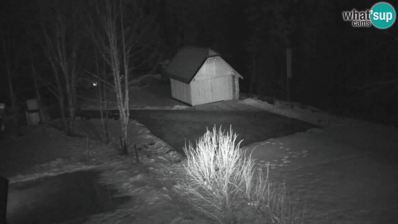 Webcam Lukanja – Water Village | Pohorje Houses