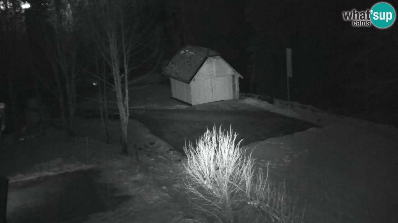 Webcam Lukanja – Water Village | Pohorje Houses