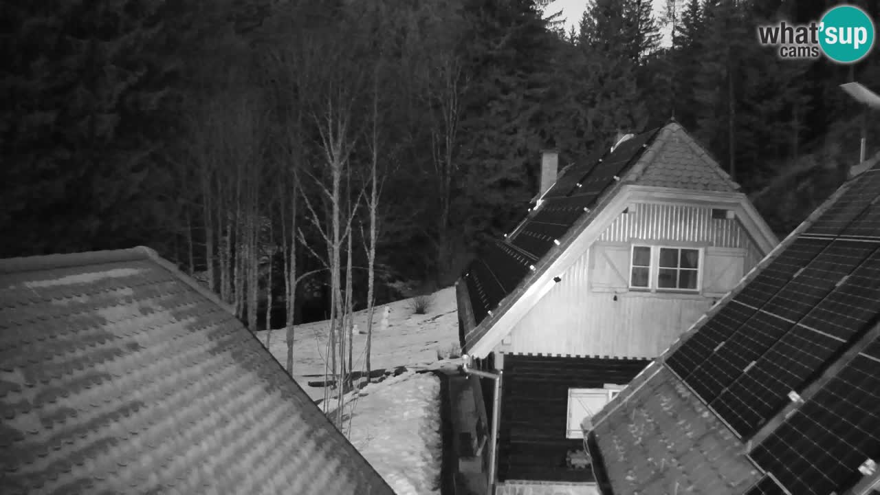 Webcam Lukanja – Water Village | Pohorje Houses