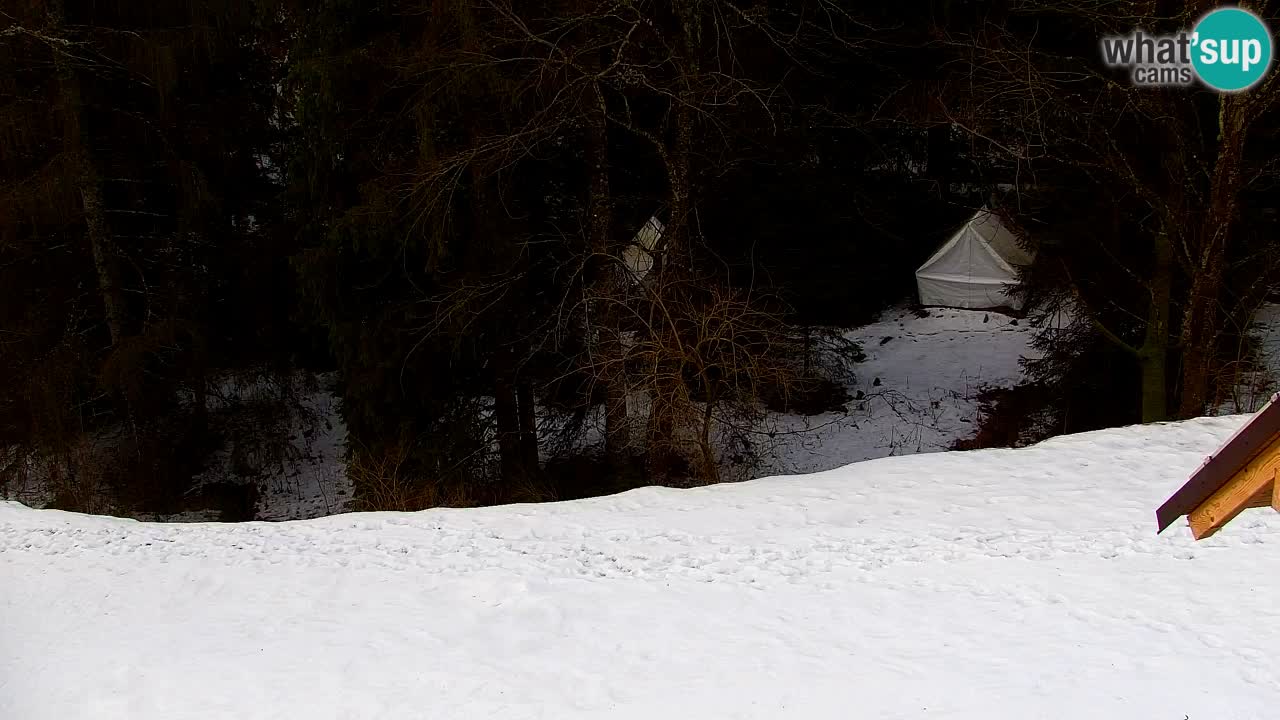 Webcam Lukanja – Water Village | Pohorje Houses