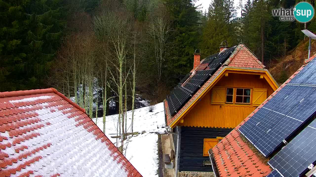 Web kamera Lukanja – Water Village | Pohorje Houses