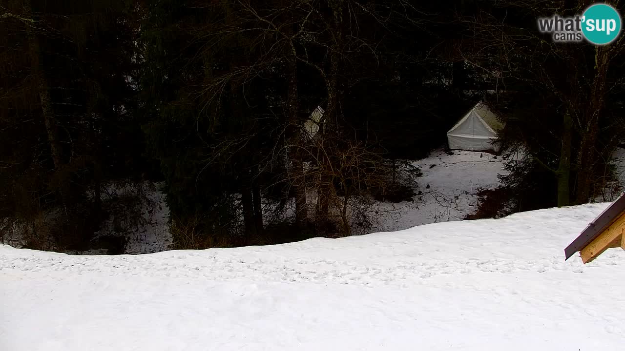 Webcam Lukanja – Water Village | Pohorje Houses