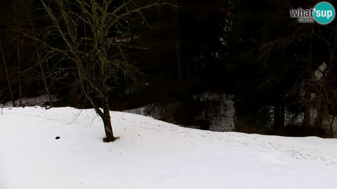 Webcam Lukanja – Pohorje houses a Water village