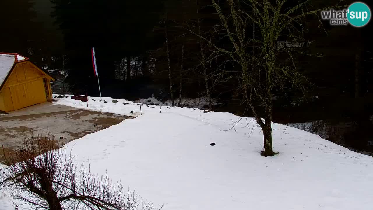 Webcam Lukanja – Water Village | Pohorje Houses