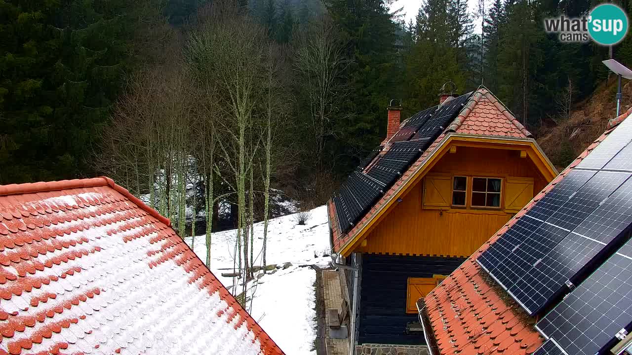 Webcam Lukanja – Water Village | Pohorje Houses
