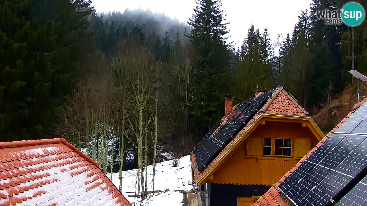 Webcam Lukanja – Water Village | Pohorje Houses