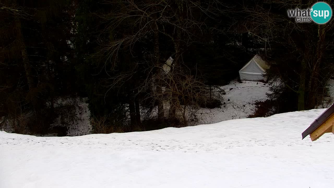 Webcam Lukanja – Water Village | Pohorje Houses