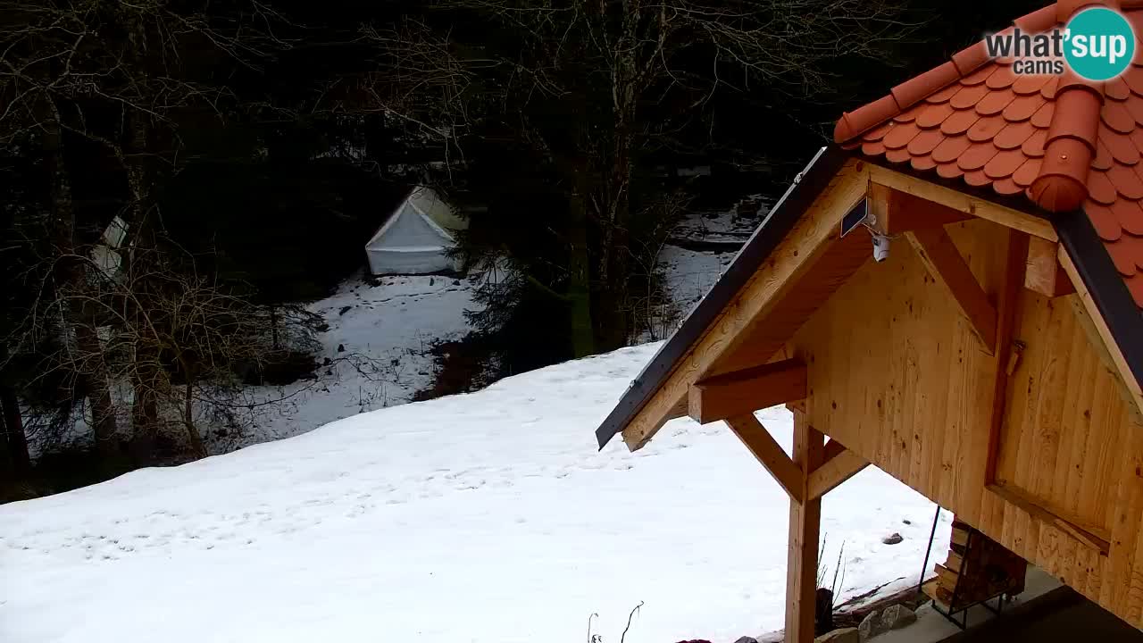 Webcam Lukanja – Water Village | Pohorje Houses