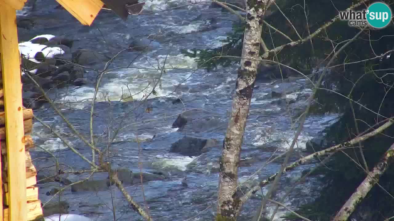 Webcam Lukanja – Water Village | Pohorje Houses