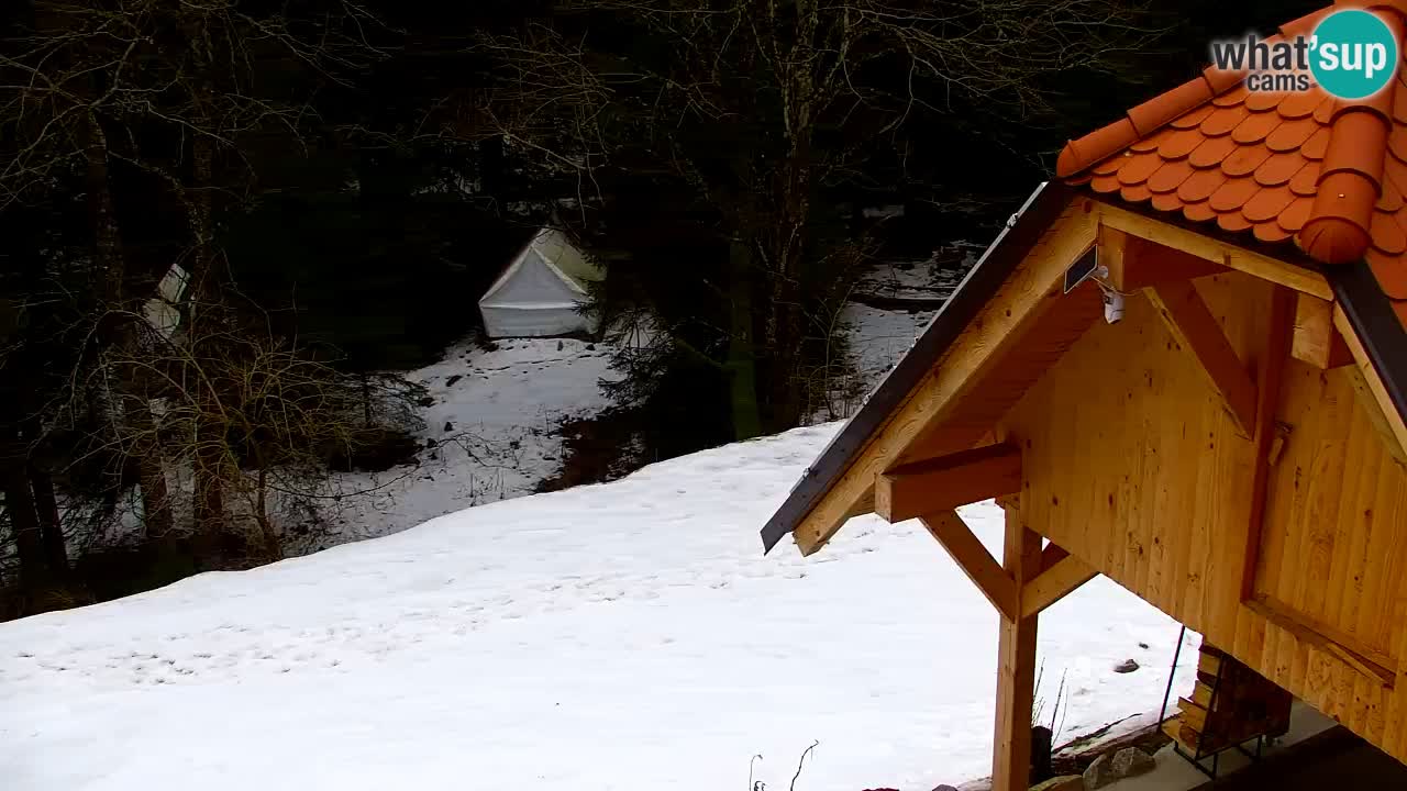 Webcam Lukanja – Pohorje houses a Water village