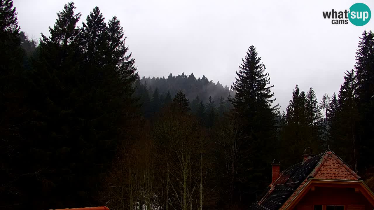 Web kamera Lukanja – Water Village | Pohorje Houses