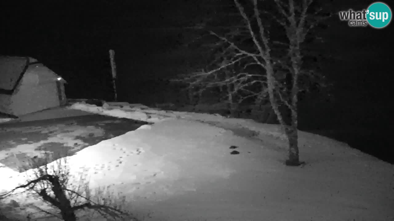 Webcam Lukanja – Pohorje houses a Water village