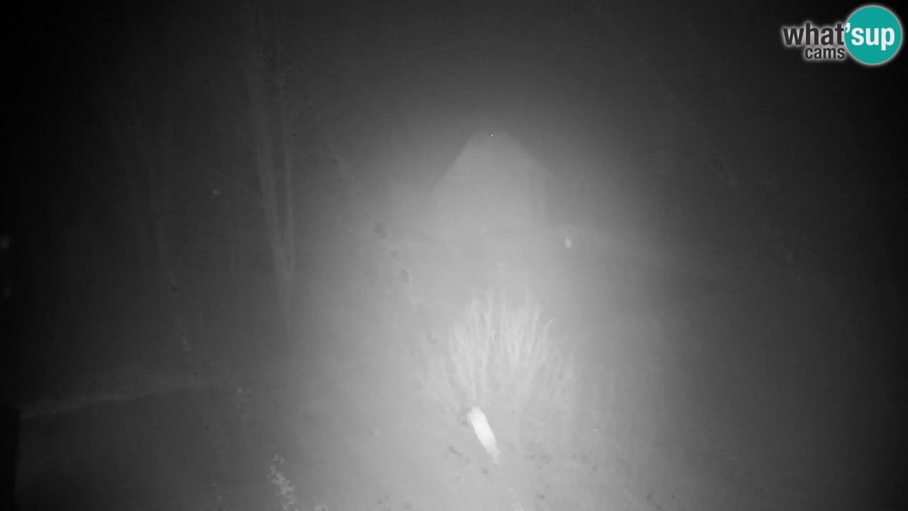 Webcam Lukanja – Water Village | Pohorje Houses