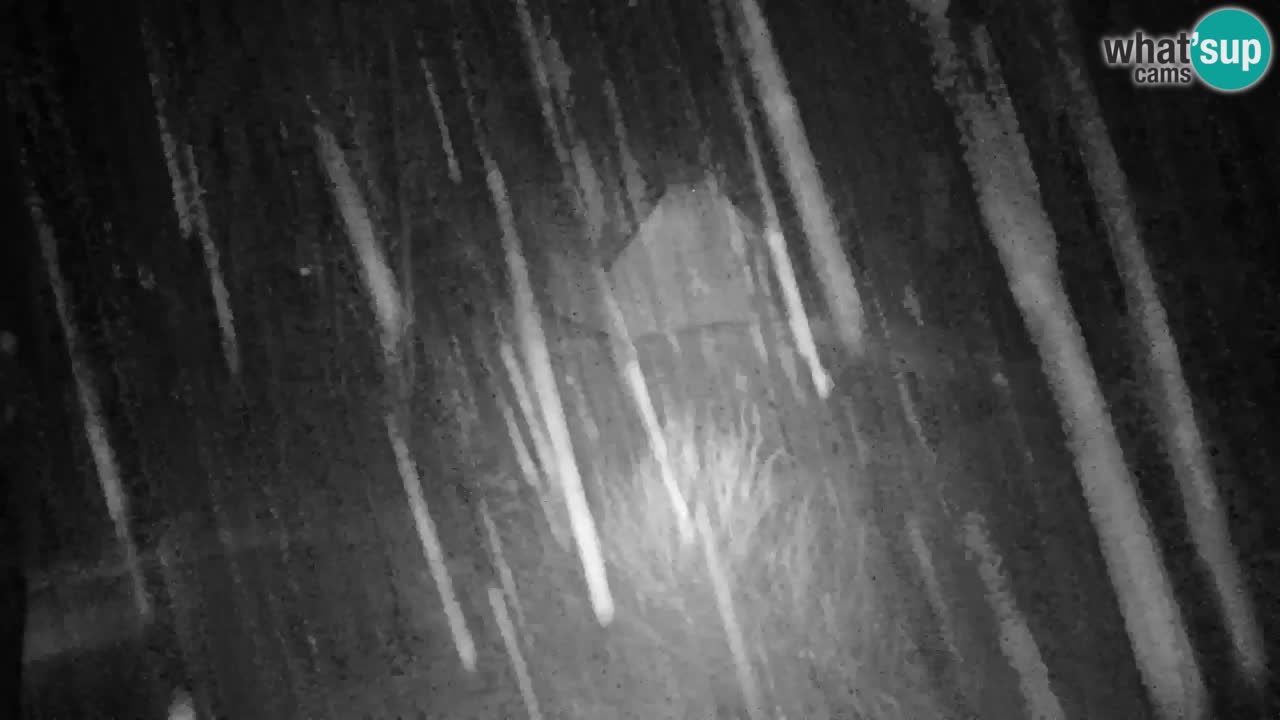 Spletna kamera Lukanja – Water Village | Pohorje Houses