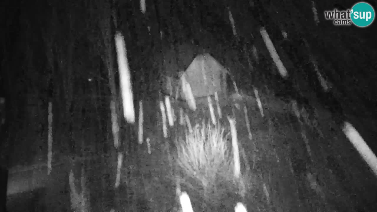 Spletna kamera Lukanja – Water Village | Pohorje Houses