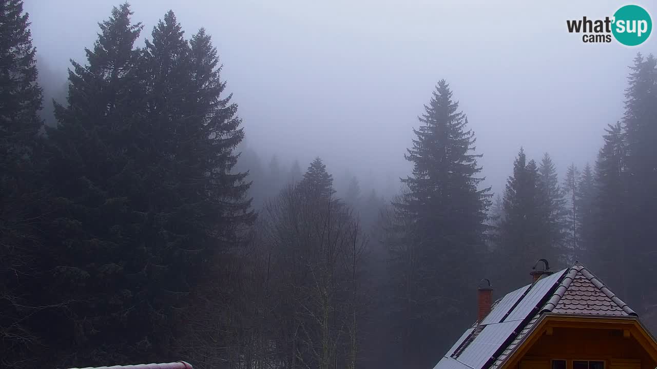 Webcam Lukanja – Pohorje houses a Water village