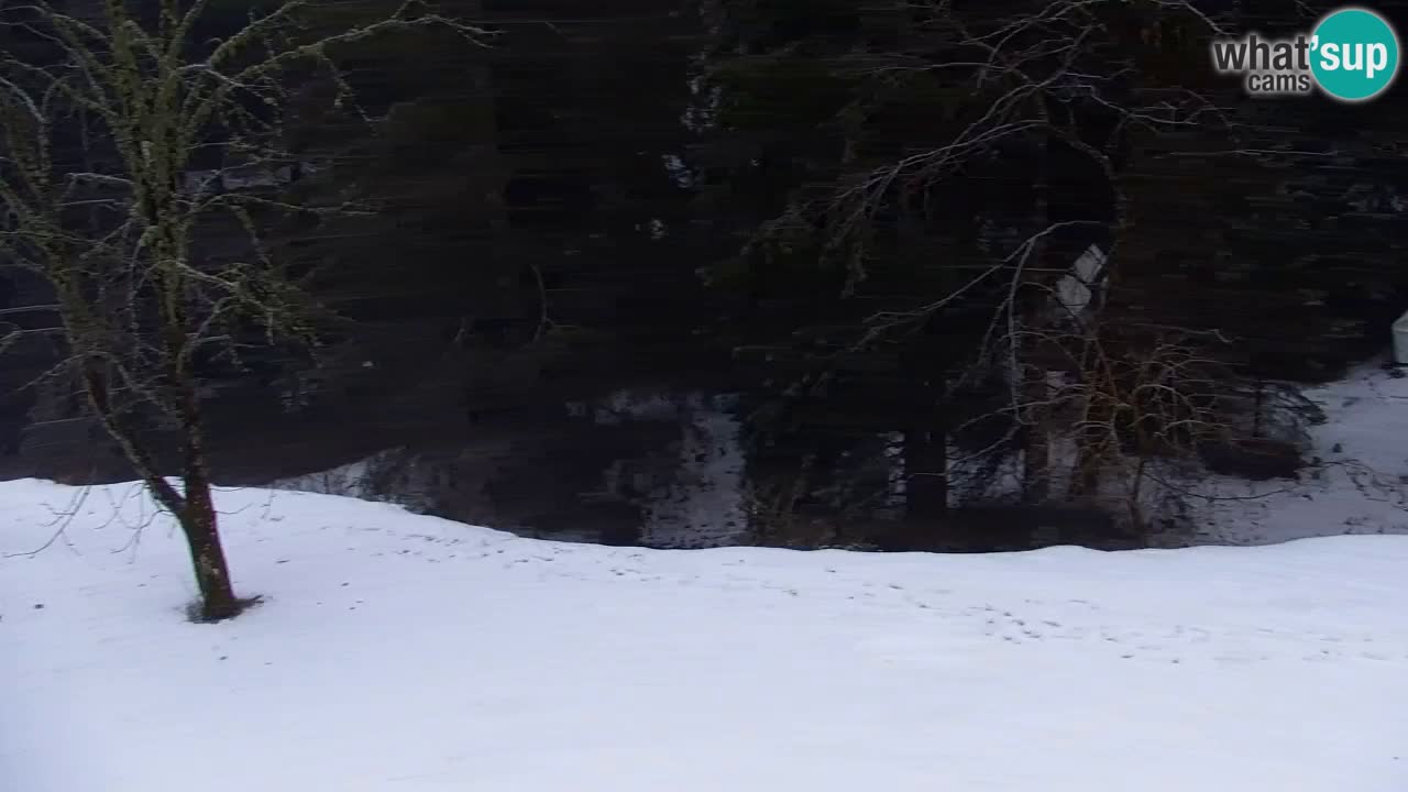 Webcam Lukanja – Pohorje houses a Water village