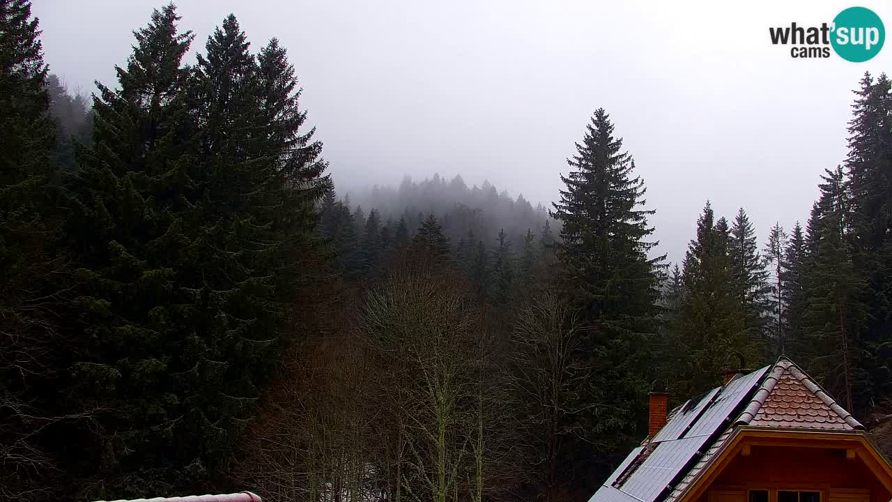 Web kamera Lukanja – Water Village | Pohorje Houses