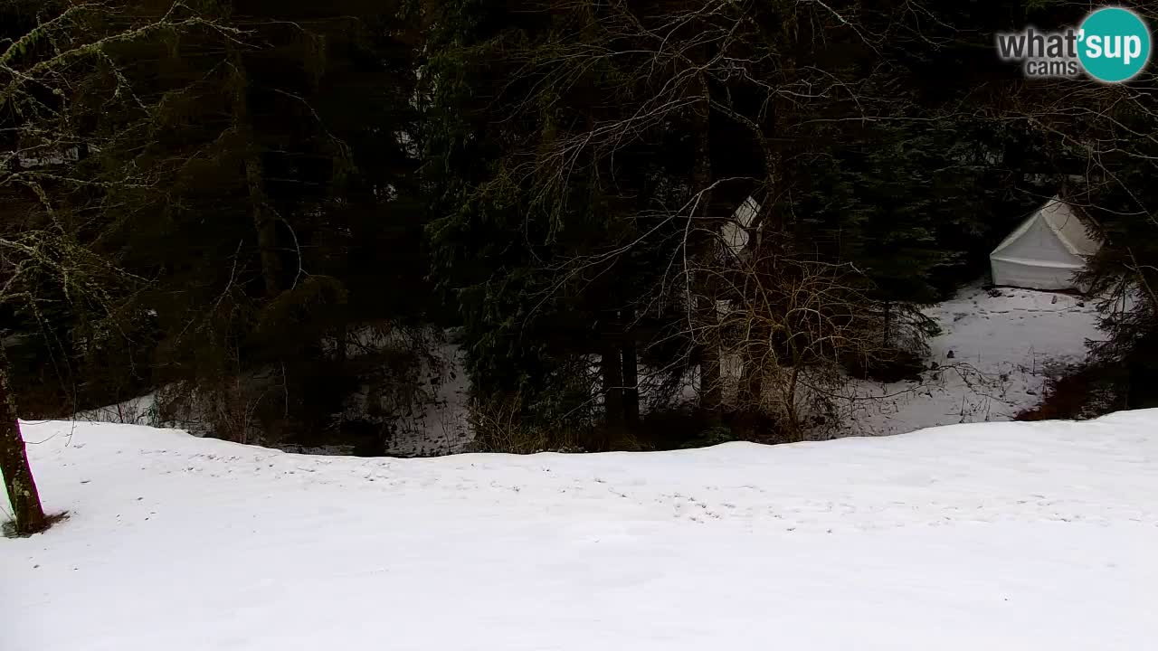 Web kamera Lukanja – Water Village | Pohorje Houses