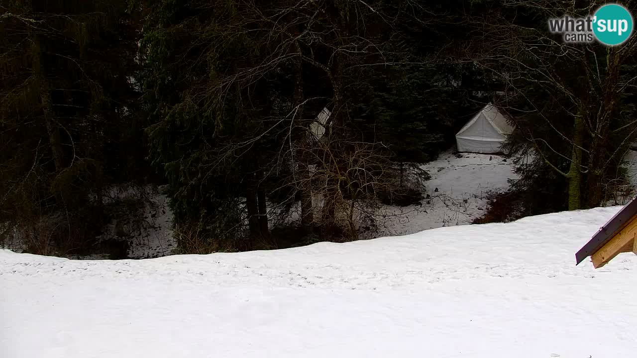 Spletna kamera Lukanja – Water Village | Pohorje Houses
