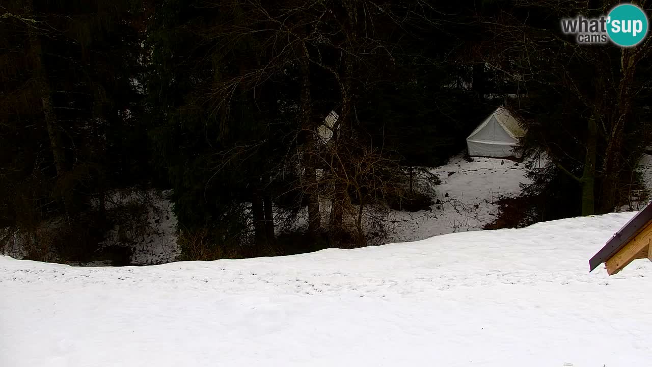 Webcam Lukanja – Pohorje houses a Water village