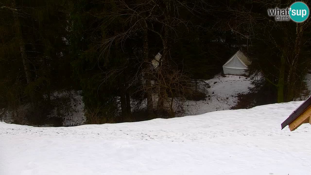 Webcam Lukanja – Water Village | Pohorje Houses