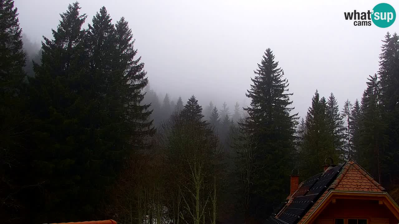 Webcam Lukanja – Water Village | Pohorje Houses