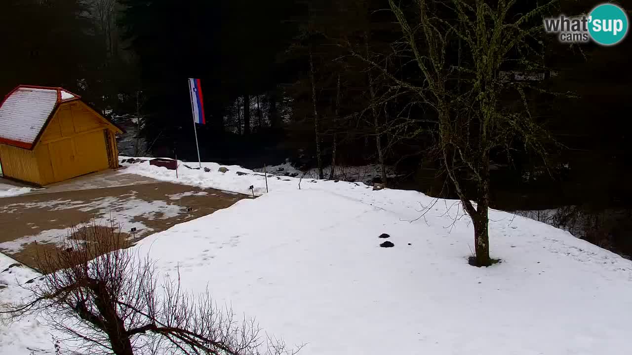 Webcam Lukanja – Pohorje houses a Water village