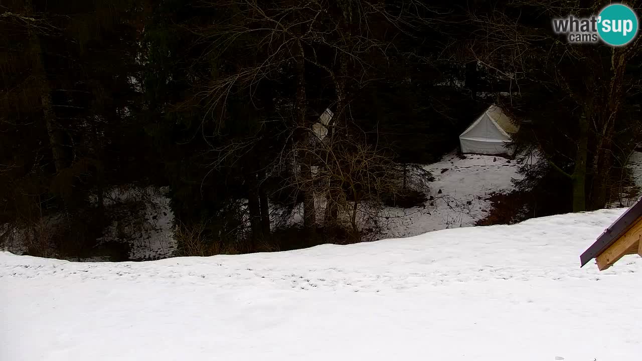 Webcam Lukanja – Pohorje houses a Water village