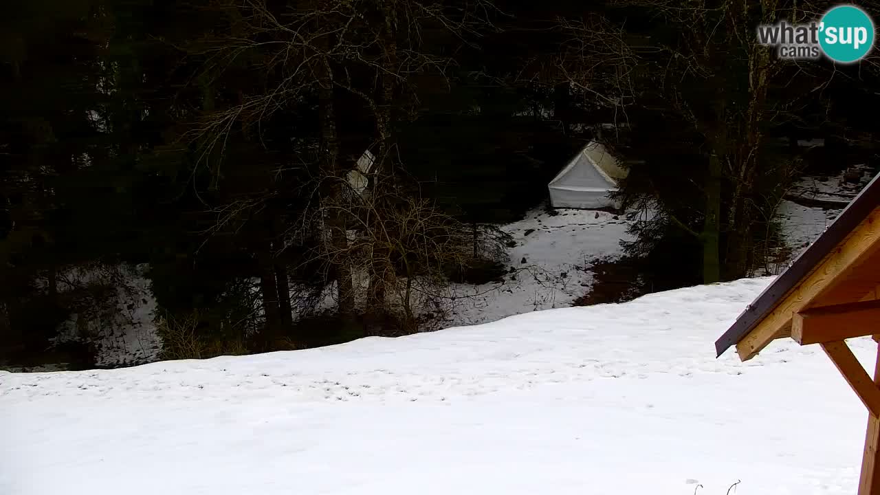 Webcam Lukanja – Pohorje houses a Water village