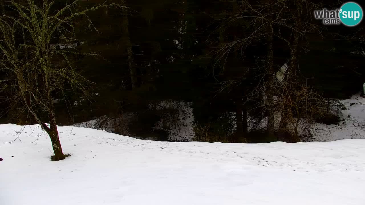 Spletna kamera Lukanja – Water Village | Pohorje Houses