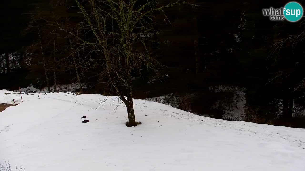 Webcam Lukanja – Water Village | Pohorje Houses