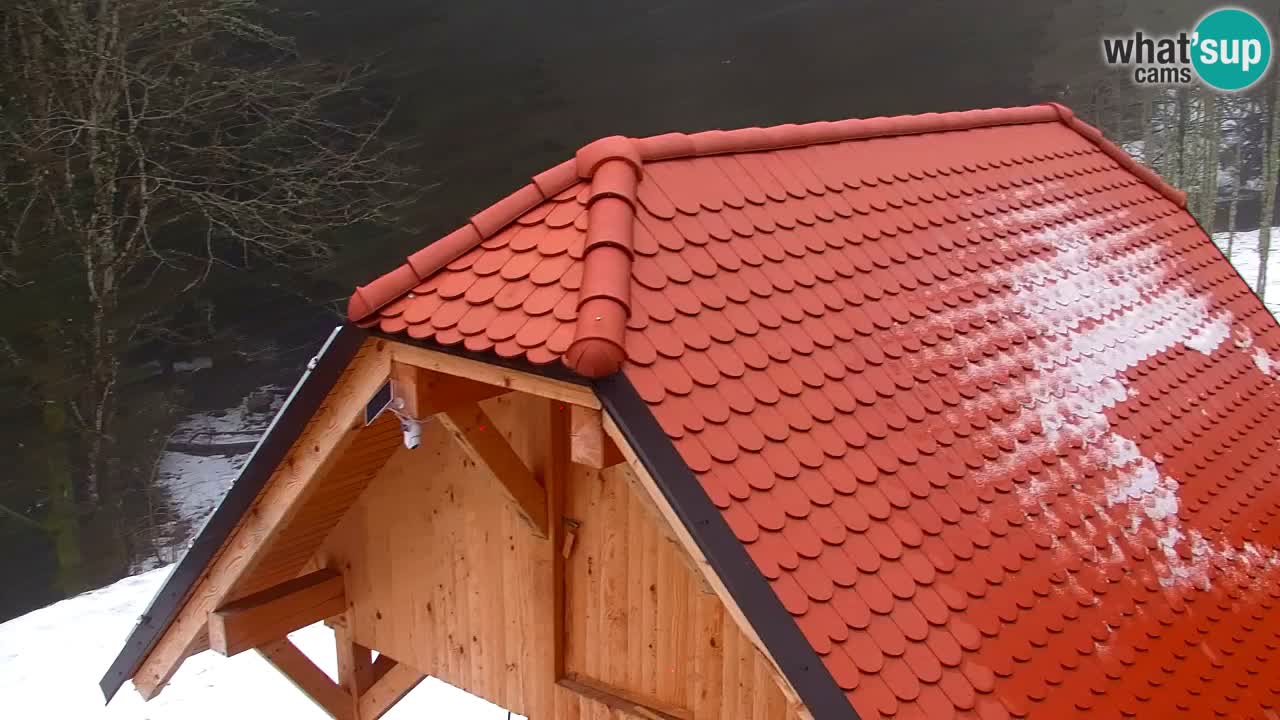Webcam Lukanja – Pohorje houses a Water village