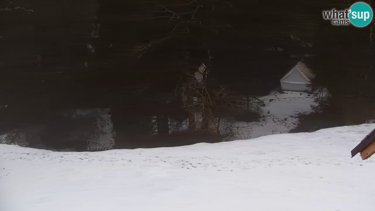 Webcam Lukanja – Water Village | Pohorje Houses