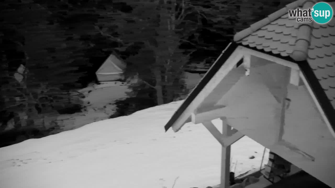 Webcam Lukanja – Water Village | Pohorje Houses