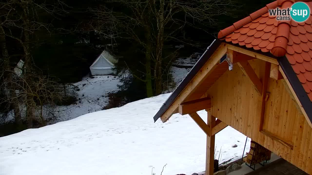 Web kamera Lukanja – Water Village | Pohorje Houses