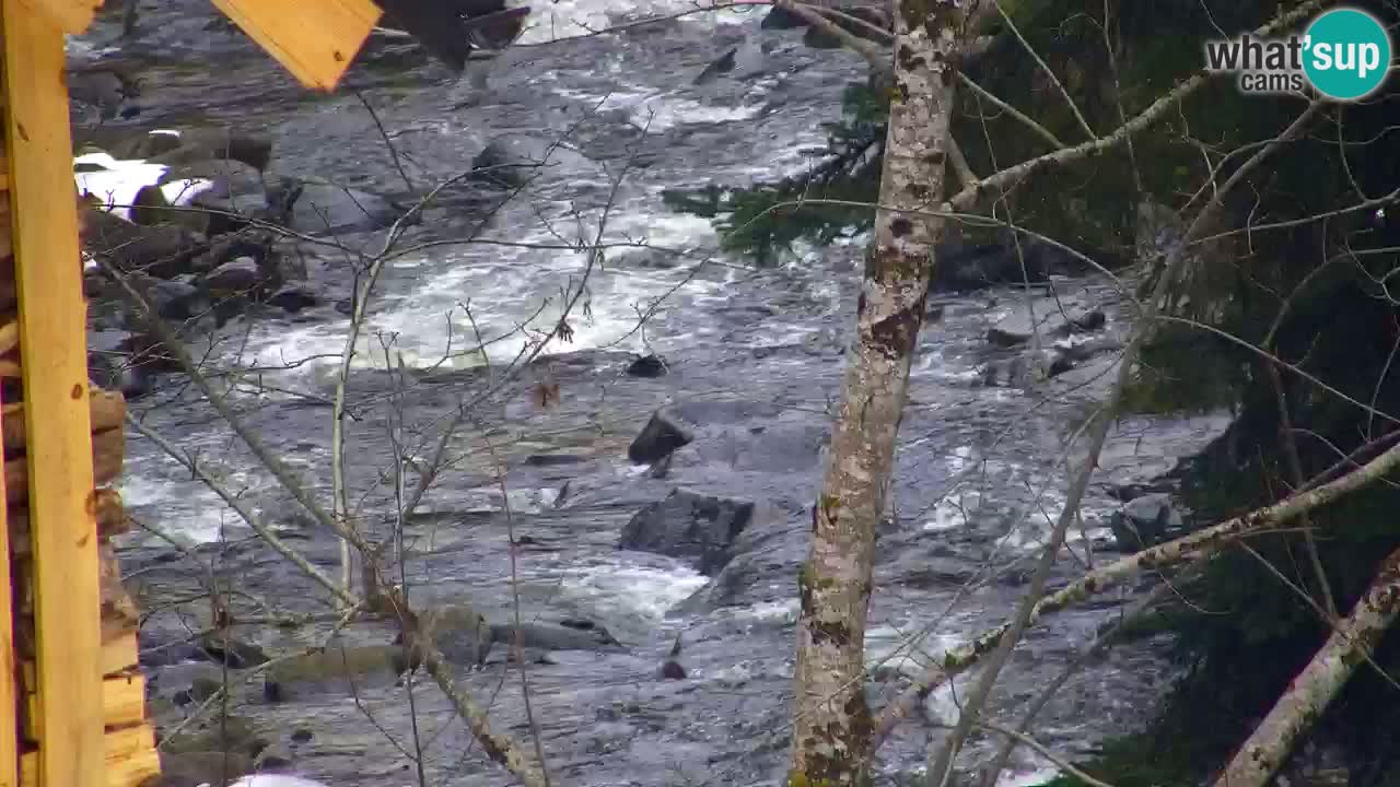 Webcam Lukanja – Pohorje houses a Water village