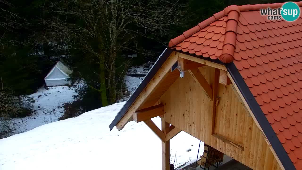 Webcam Lukanja – Water Village | Pohorje Houses