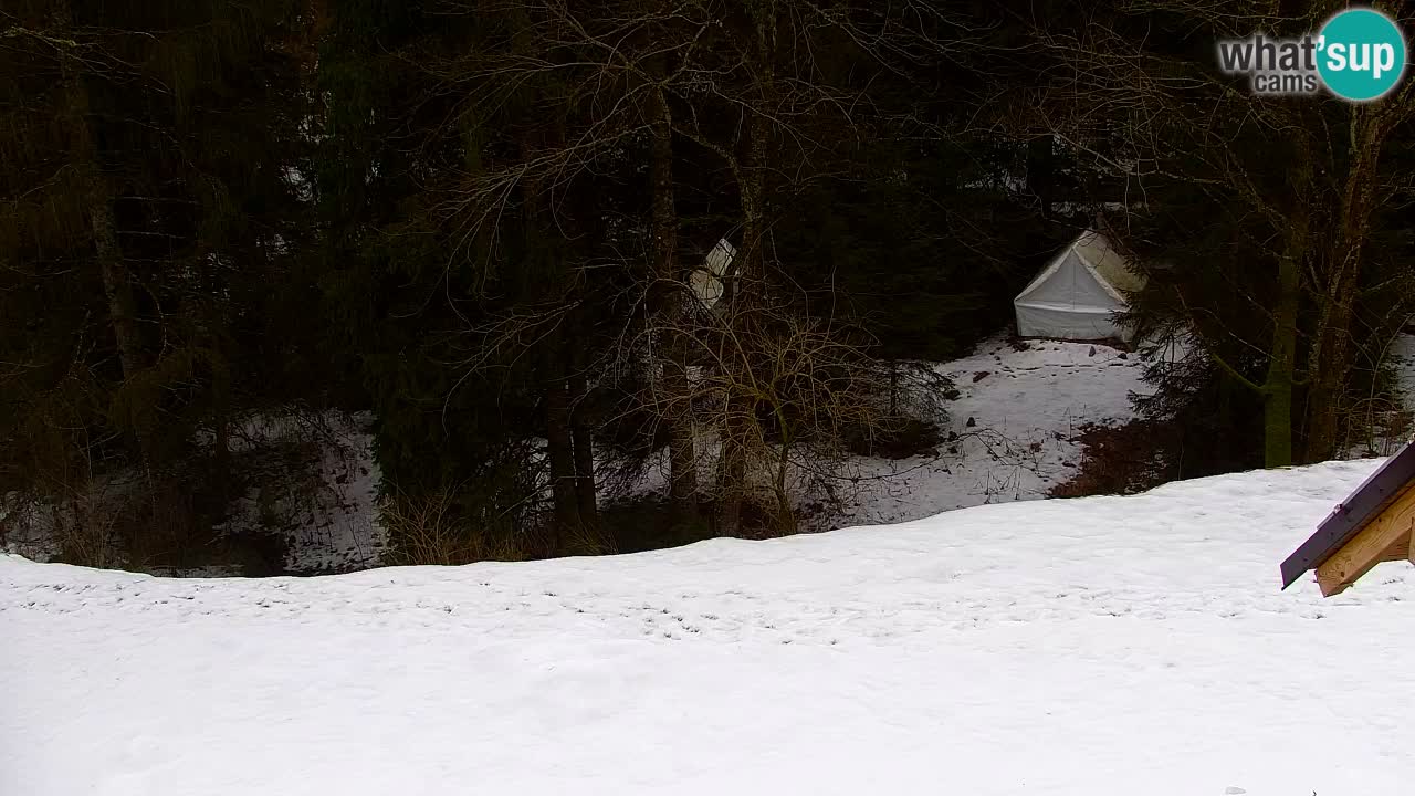 Webcam Lukanja – Pohorje houses a Water village