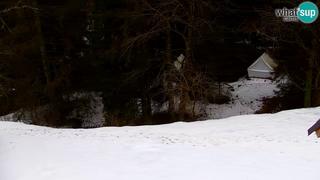 Spletna kamera Lukanja – Water Village | Pohorje Houses