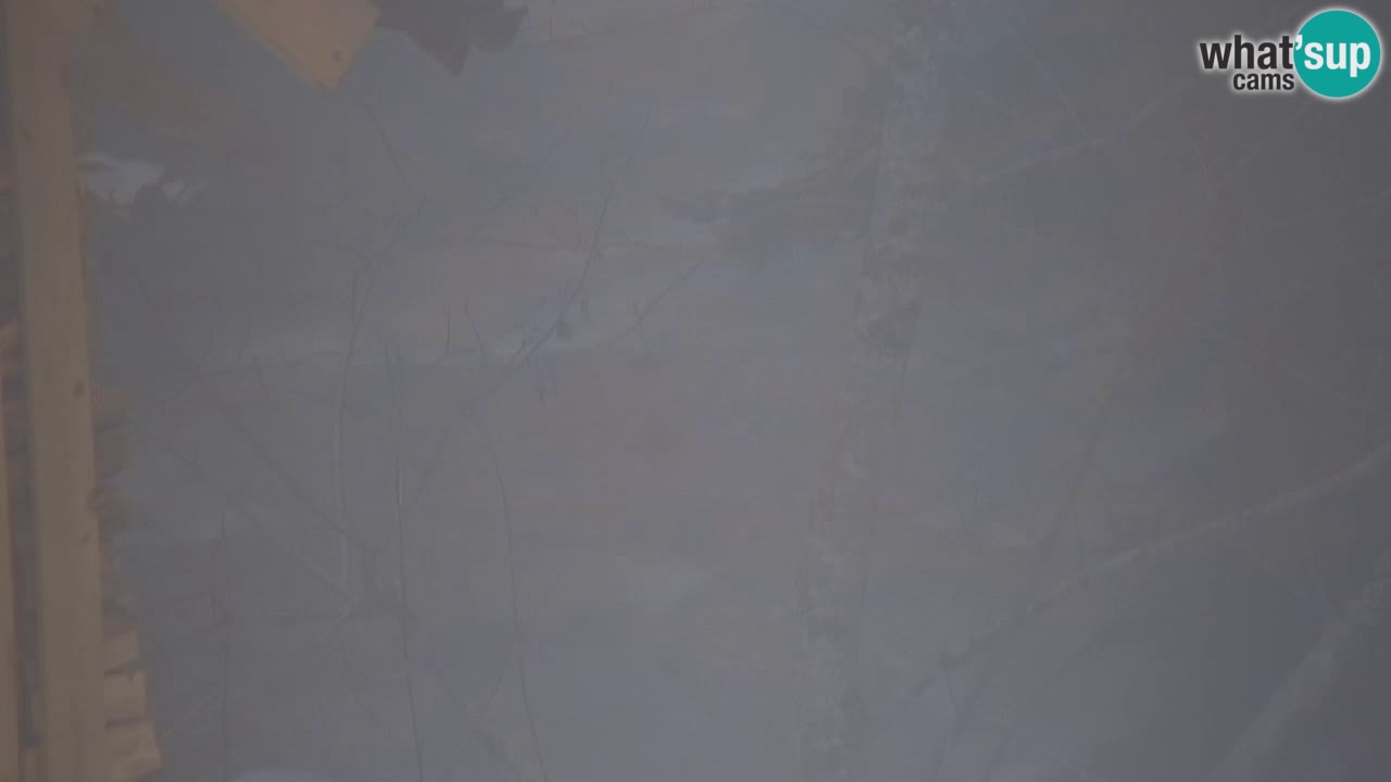 Webcam Lukanja – Water Village | Pohorje Houses