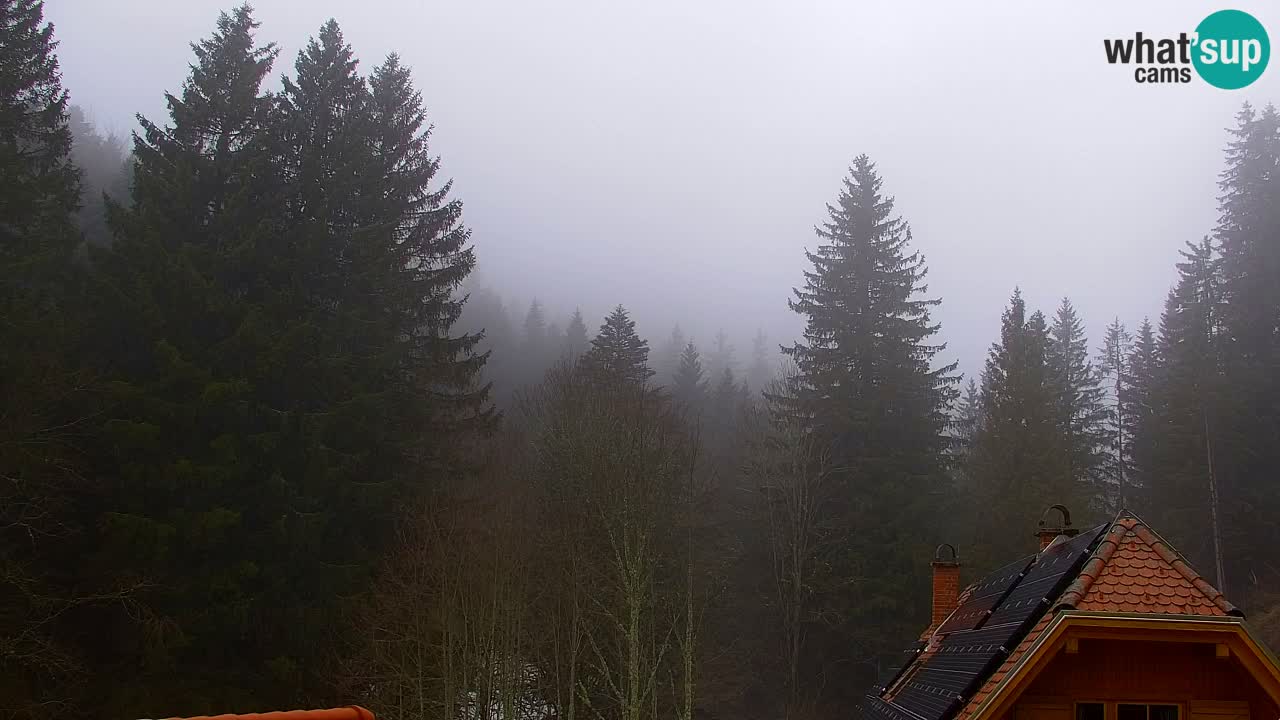 Web kamera Lukanja – Water Village | Pohorje Houses