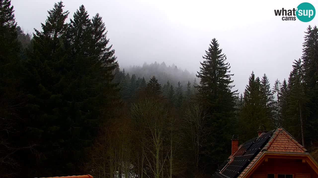 Spletna kamera Lukanja – Water Village | Pohorje Houses