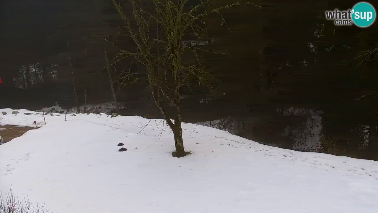 Webcam Lukanja – Water Village | Pohorje Houses